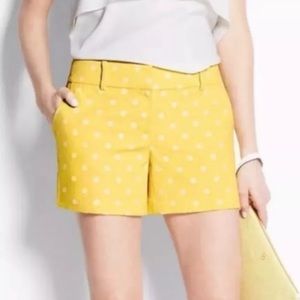 Ann Taylor Shorts